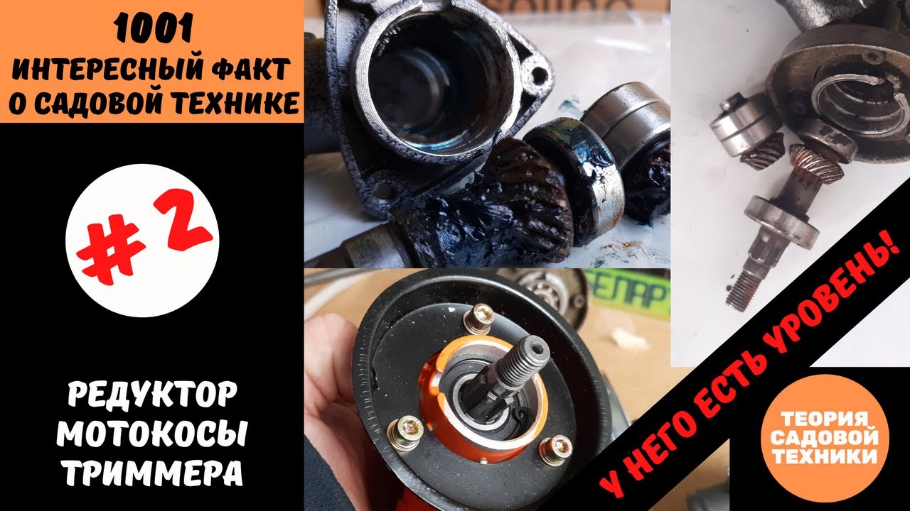 Уровень смазки в редукторе мотокосы или триммера. Он есть! Превышение ...