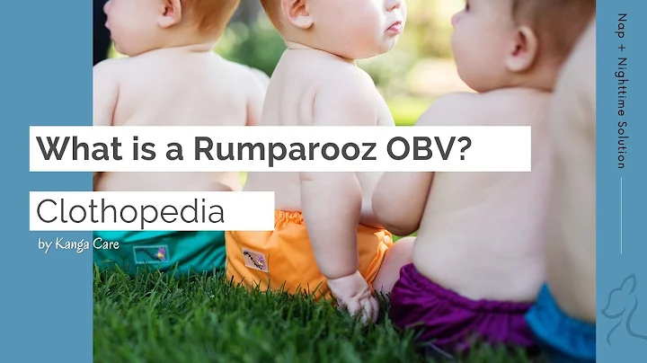 What Is Rumparooz OBV?