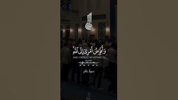 سورة غافر اللهم اغفر ذنوبنا جميعآ صوت خشوع يبكي الحجر