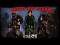 Stalker Online [ Stay Out ] Охота на STORM