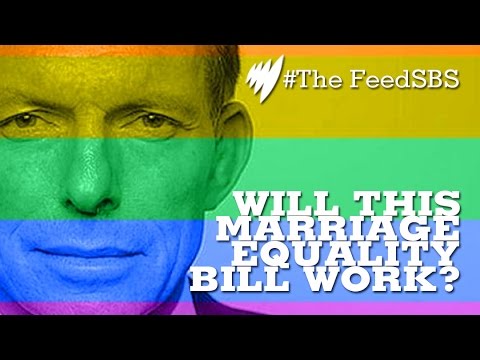 the feed contains test content Same sex marriage in Australia: will this push work? I The Feed