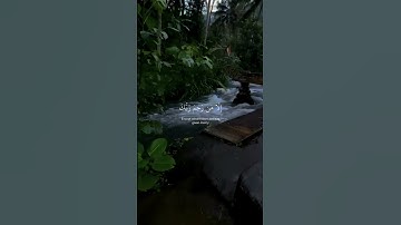 القارئ اسلام صبحي 🤍اكتب شيء تؤجر عليه 😊