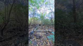 Venta de finca ganadera en San Francisco Libre, Managua. #ventadefincas #managua #bienesraices