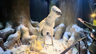 The Forbidden Forest - Harry Potter WB Studio Tour London  #harrypotter #shorts