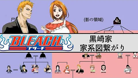 ブリーチ続編