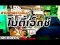 EP.177 เปลี่ยนสายพานราวลิ้นไมตี้ , ไทเกอร์ 2L | 3L | 5L  Timing Belt | Hilux | MTX | Tiger