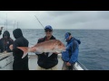 Real mccoy fishing tours cape jervis 2016