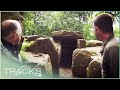 Britain's Hidden Burial Chamber | Ancient Tracks | TRACKS