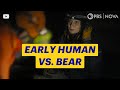 How Ancient Humans Might Have Taken Down Bears | NOVA | PBS