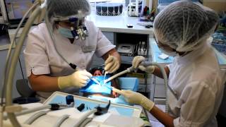 Лечение зубов в стоматологической клинике «Солист»(, 2012-07-04T08:03:28.000Z)