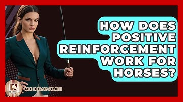 How Does Positive Reinforcement Work For Horses? - The Horses Stable