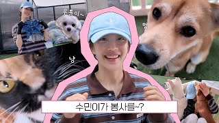 수민이의 Vlog #11 | 수민이가 봉사를~?🐶🐈 (유기동물 보호소 봉사활동)