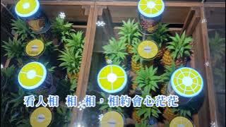 Download lagu 費玉清-戀愛夢       台語歌詞標誌 字幕版