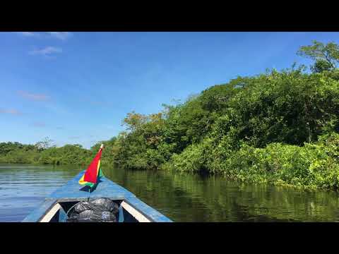 Видео: Каякиране на опасни бързеи, за да спаси мрежата Амазонка - Матадор