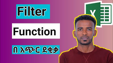 Learn How to Use the FILTER Function in Excel to Track Stock In and Out in Amharic