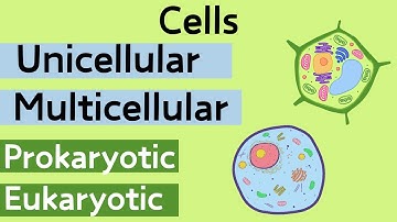 Cells - Unicellular vs Multicellular plus Prokaryotic vs Eukaryotic