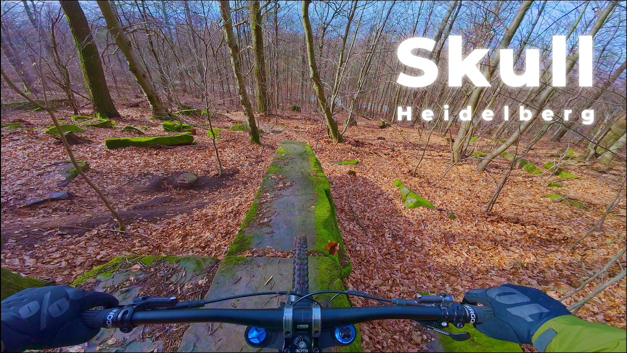 Had to take my Buldozer to do this drop  |  Skull  |  Heidelberg  |  MTB