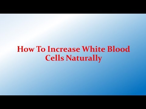 How To Increase White Blood Cells Naturally | Boost Immunity