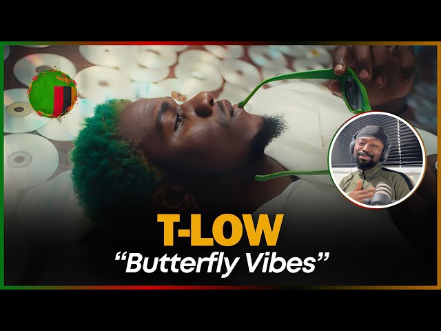 🚨🇿🇲 | T-Low ft Chef 187 & Mikha'el - Butterfly Vibes (Official Music Video) | Reaction class=