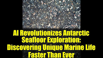 AI Revolutionizes Antarctic Seafloor Exploration: Discovering Unique Marine Life Faster Than Ever