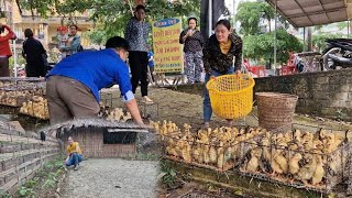 Húng Thị Bình _Today I'm going to buy ducks to raise and plant a houseplant by Húng Thị Bình  5,052 views 1 month ago 27 minutes