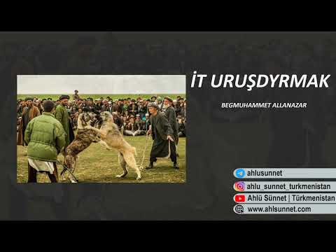 İt uruşdyrmak? |