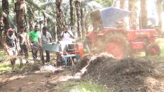 palm oil leaf cutter