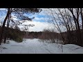 Гуляю по зимнему лесу и размышляю
