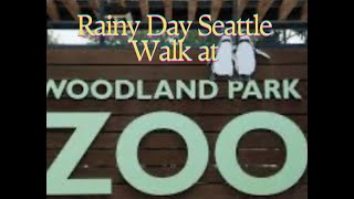 Rainy Stroll Through Seattle Woodland Park Zoo | Calm Urban Nature Ambience screenshot 3