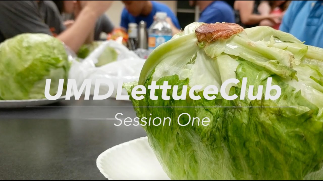 University of Maryland Lettuce Club - YouTube