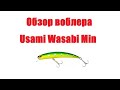 Видеообзор воблера   Usami Wasabi Min по заказу интернет-магазина Fmagazin.