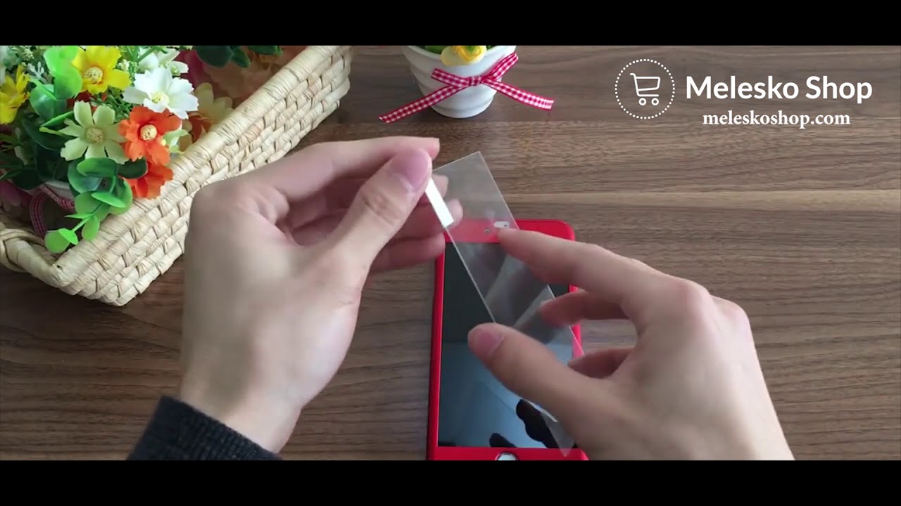 FANCY iPhone 360 degree protection case!