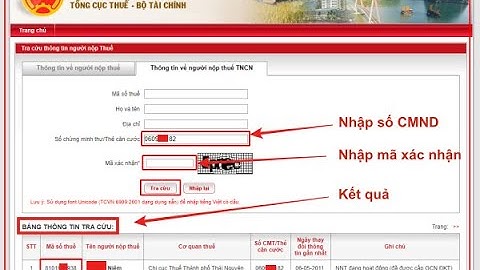 Hướng Dẫn Cách Tra Cứu Mã Số Thuế Cá Nhân Bằng Chứng Minh Thư (CMT) Căn Cước Công Dân (CCCD) Online