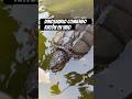 Dinosaurio comiendo GRABADO EN VIDEO #dinosaur #dinosaurio #turtle #tortuga #lagarto #prehistoric