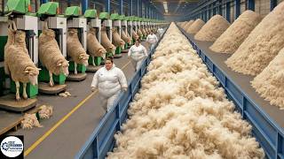 Inside Giant Wool Factories Turning Raw Fleece Into Clothes