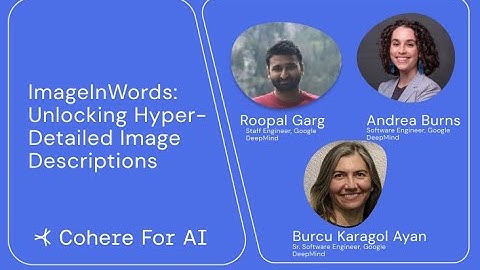 ImageInWords: Unlocking Hyper-Detailed Image Descriptions Panel