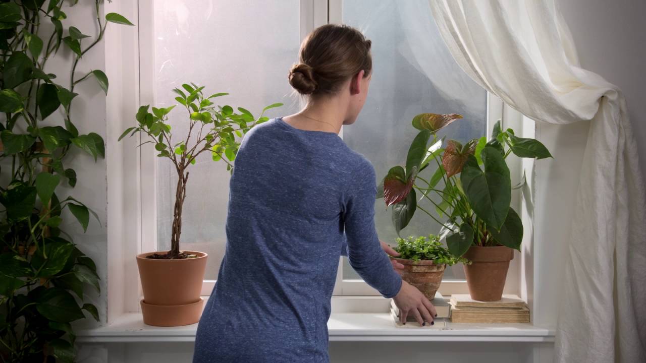 Smuk udstilling i vindueskarmen youtube