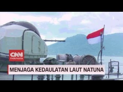 Video: Komposisi Konifer Di Negara Ini