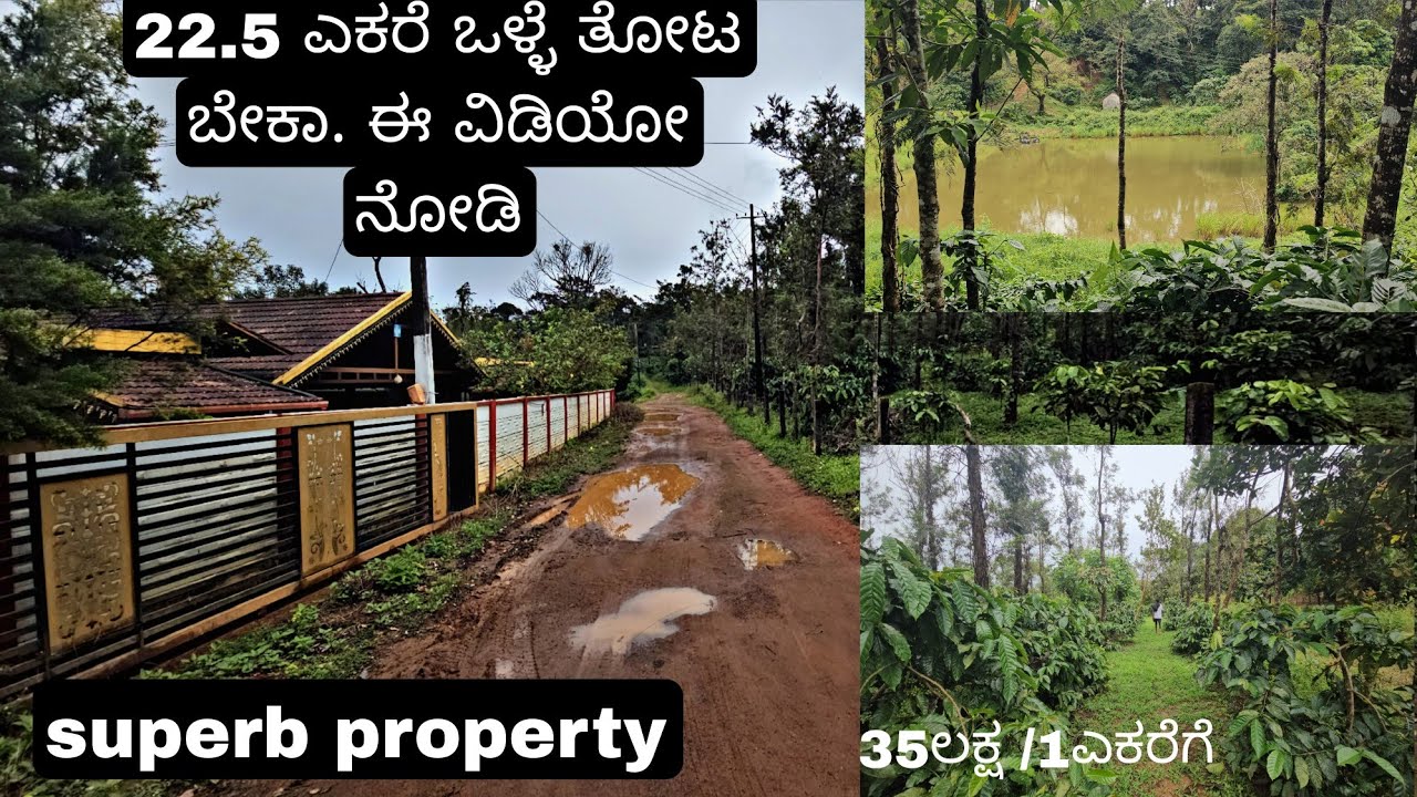 (#407) 22.5 ಎಕರೆ ಸುಂದರವಾದ ಕಾಫಿ ತೋಟ( ರೋಬಷ್ಠ ) state highway to0.5 km. real property best deel 🙏🏻🌍🫡