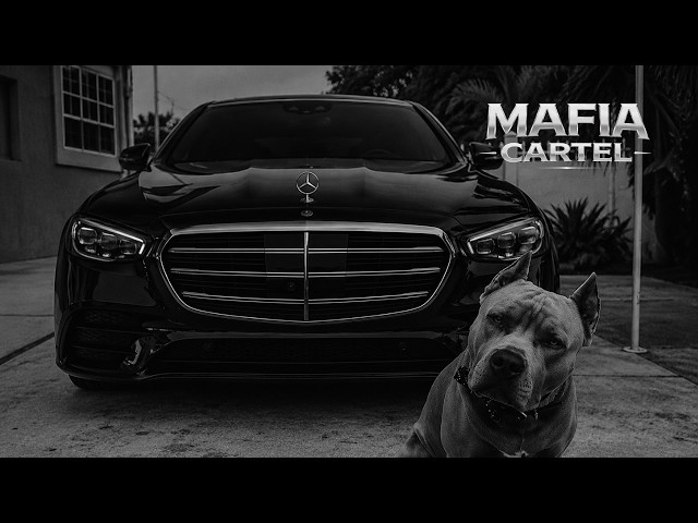 MAFIA CARTEL — BLACK TERMINAL | Gangster Trap House Car Music 2026 🔥