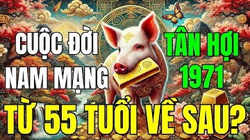 Tử Vi Trọn Đời Nam Tuổi Tân Hợi 1971, Từ 55 Tuổi Về Sau Như Thế Nào?