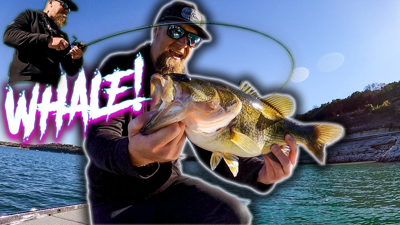 NEW SWIMBAIT CATCHES TOADS! 6th Sense Whale 4.5 Swimbait IN ACTION