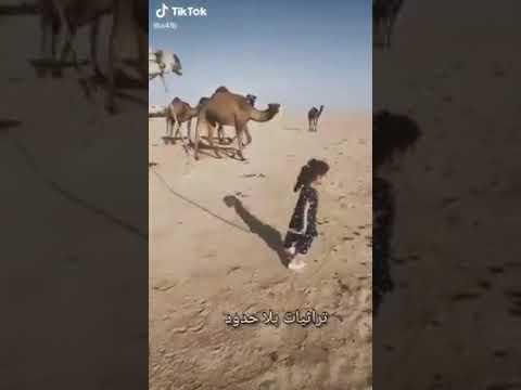 تراثيا بلا حدود