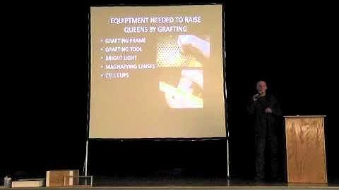 Making Summer Splits to reduce winter losses