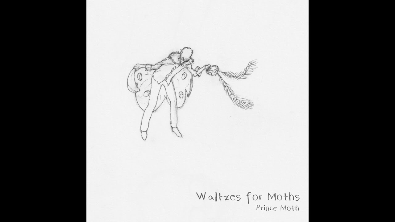 Prince Moth - Can I Make It Without You (featuring Liam)