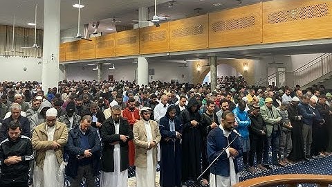 نسائم الفجر سورة نوح للشيخ خالد التركي من صلاة الفجر إيطاليا بياتشنزا رمضان ١٤٤٤