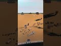 The desert town