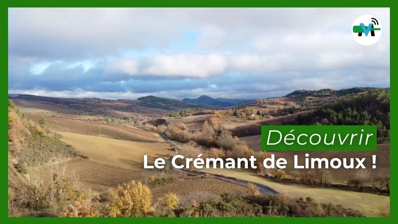 Crémant de Limoux : tout savoir sur l'autre bulle de Limoux