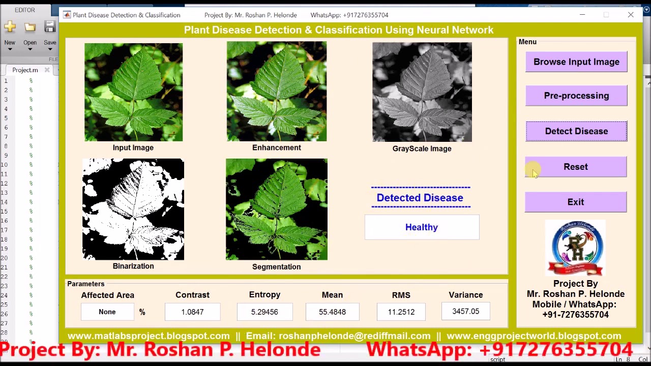 Matlab Code for Plant Disease Detection using Neural Network - YouTube