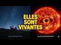 La Preuve Terrifiante que les Étoiles sont Vivantes : Elles Nous Regardent